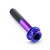Titanium DualDrive Bolt M6x(1.00mm)x35mm Race Spec Purple Haze