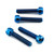 Titanium Front Caliper Pinch Bolt Kit Torx Drive Blue