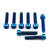 Titanium Front Caliper Pinch Bolt Kit Torx Drive Blue
