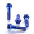 Titanium Front Brake Caliper Mount Bolt Kit DualDrive Blue