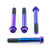 Titanium Front Brake Caliper Mount Bolt Kit Purple Haze