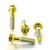 Titanium Front Brake Caliper Mount Bolt Kit DualDrive Gold