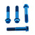 Titanium Front Brake Radial Caliper Mount Bolt Kit M10x(1.25mm)x55mm Flanged Hex Blue