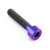 Titanium Parallel Socket Cap M5x(0.80mm)x25mm DIN 912 Purple Haze