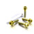 Titanium Pillion Footrest Hanger Bolt Kit DualDrive Gold
