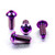 Titanium Rider Footrest Hanger Bolt Kit Purple Haze