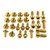 Stainless Steel Bodywork Bolt Kit - Indian Pursuit - Dark Horse/Limited/Premium Gold