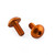 Aluminium Water Bottle Cage Bolts M5x(0.80mm)x20mm Dome Head Pack x2 Orange
