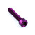 Aluminium Top Cap Bolt Kit M6x(1.00mm)x30mm Parallel Head Socket Cap Purple
