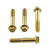 Stainless Steel Rider Footrest Hanger Bolt Kit Race Spec Gold