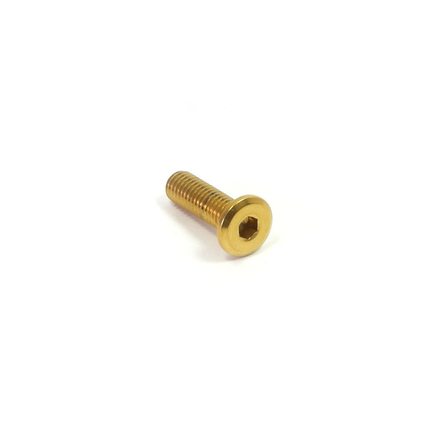 Stainless Steel Dome Head Bolt M5x(0.80mm)x16mm (9mm O/D) Flat Head Gold