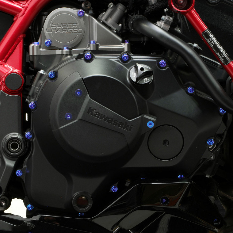 Titanium Engine Kit Kawasaki Ninja H2 Flanged Hex Head Bolt Purple Haze Fitted