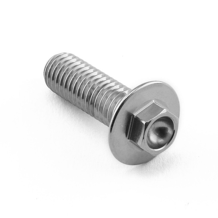 Stainless Steel Bodywork Flanged Hex M8x(1.25mm)x25mm