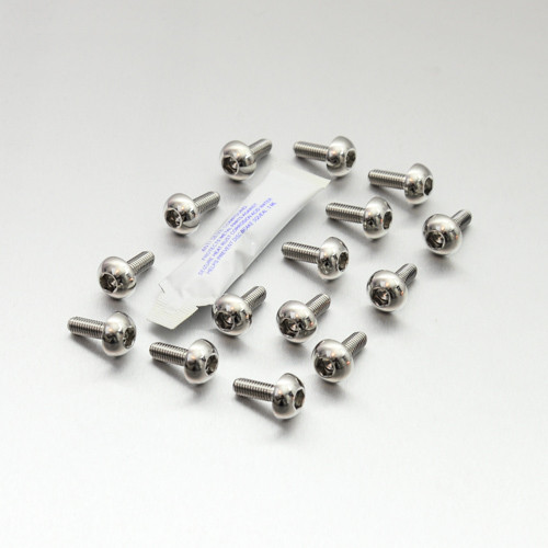 Stainless Steel Disc Bolt To Fit Honda M6x17mm Pack x15