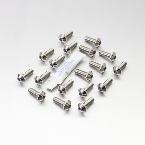 Stainless Steel Disc Bolt To Fit Yamaha M8x25mm Pack x18