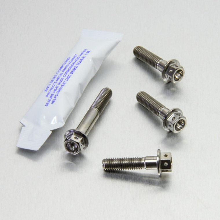 Stainless Steel Brake & Clutch Lever Pinch Bolts Race Spec