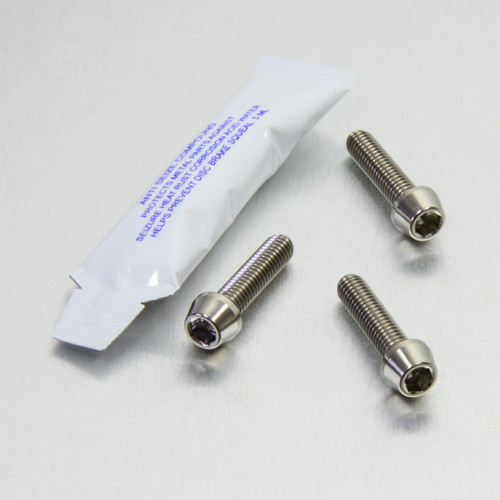 Stainless Steel Brake & Clutch Lever Pinch Bolts