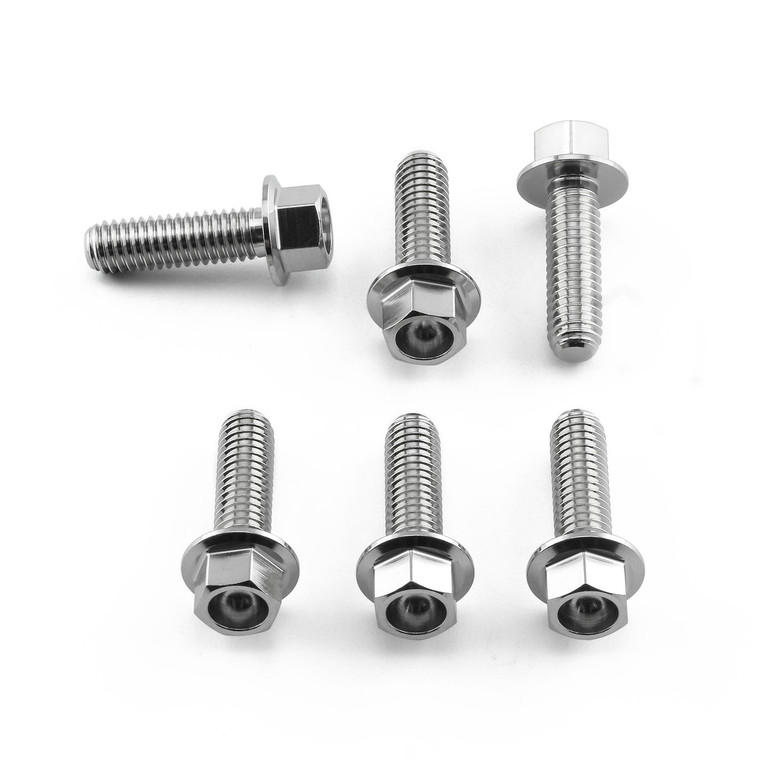 Stainless Steel Disc Bolt Flanged Hex M6 x 20mm Rear Pack x6