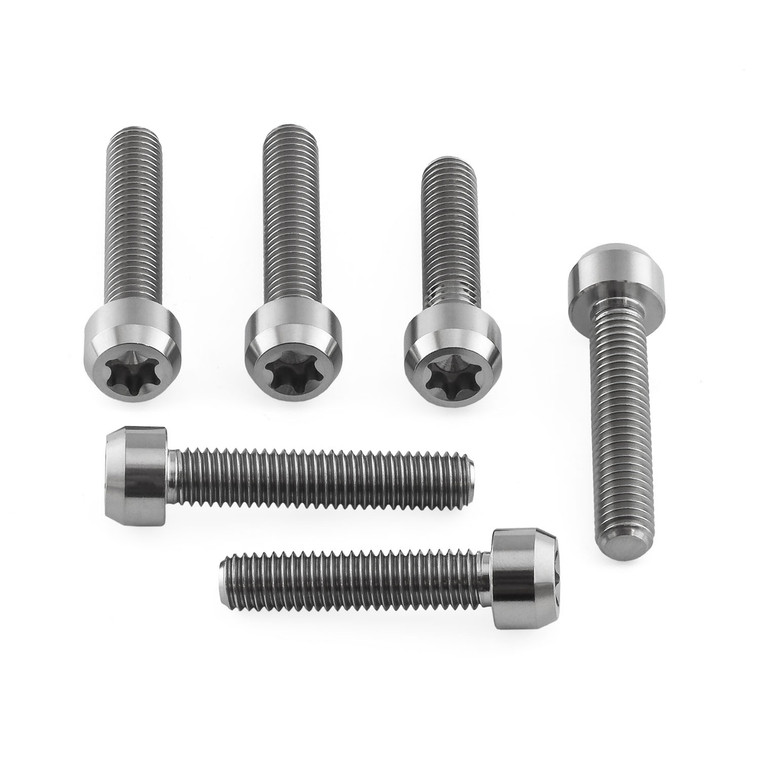 Titanium Top & Bottom Clamp Yoke Pinch Kit Torx Drive