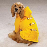 Casual Canine Duffle Coat