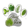 Jo Co Barking Club/Plant and Paw