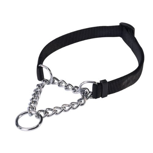 Martingale Dog Collar Martingale Dog Collar