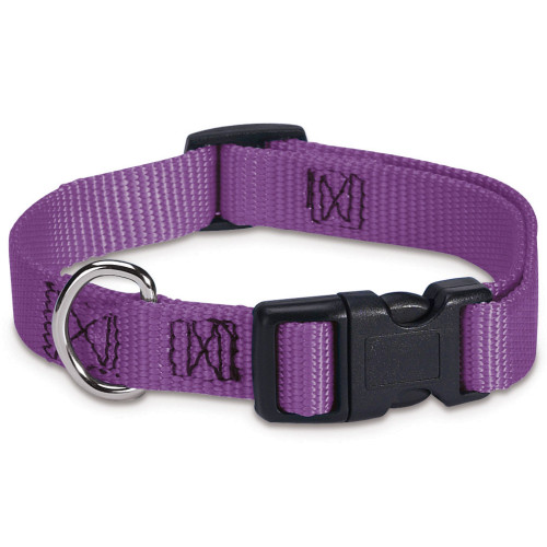 Purple Nylon Dog Collar