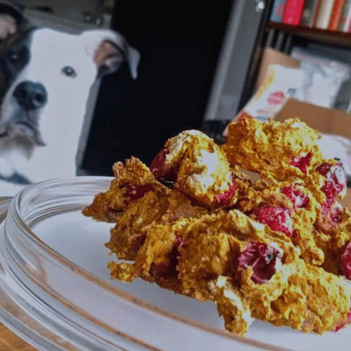 Cran-Kin Drops Homemade Dog Treats