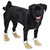 Tan Dog Boots