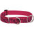 Plum Blossom Dog Collar