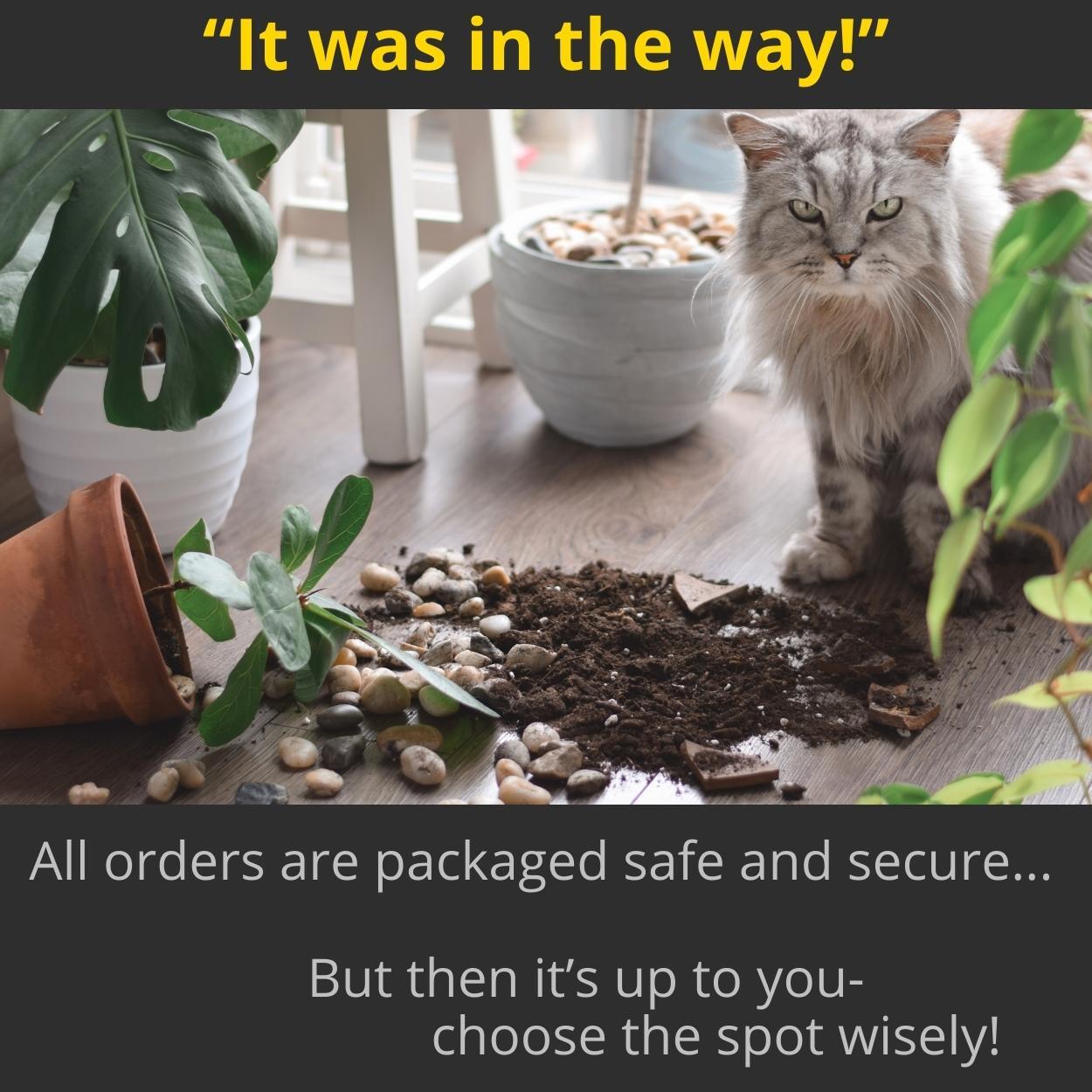 A mischievous cat next to a broken plant pot and spilled soil, with text referencing the Plant & Paw refund policy.