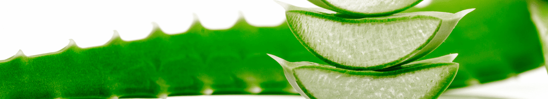 aloe-vera-plant-leaf-1-.png