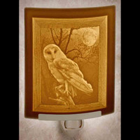Owl Night Light