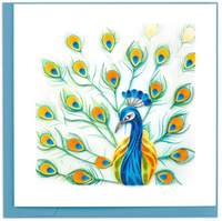 Peacock Feather Display Greeting Card