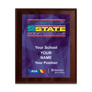 2026 AIA Wrestling State Sectionals 8x10 Plaque
