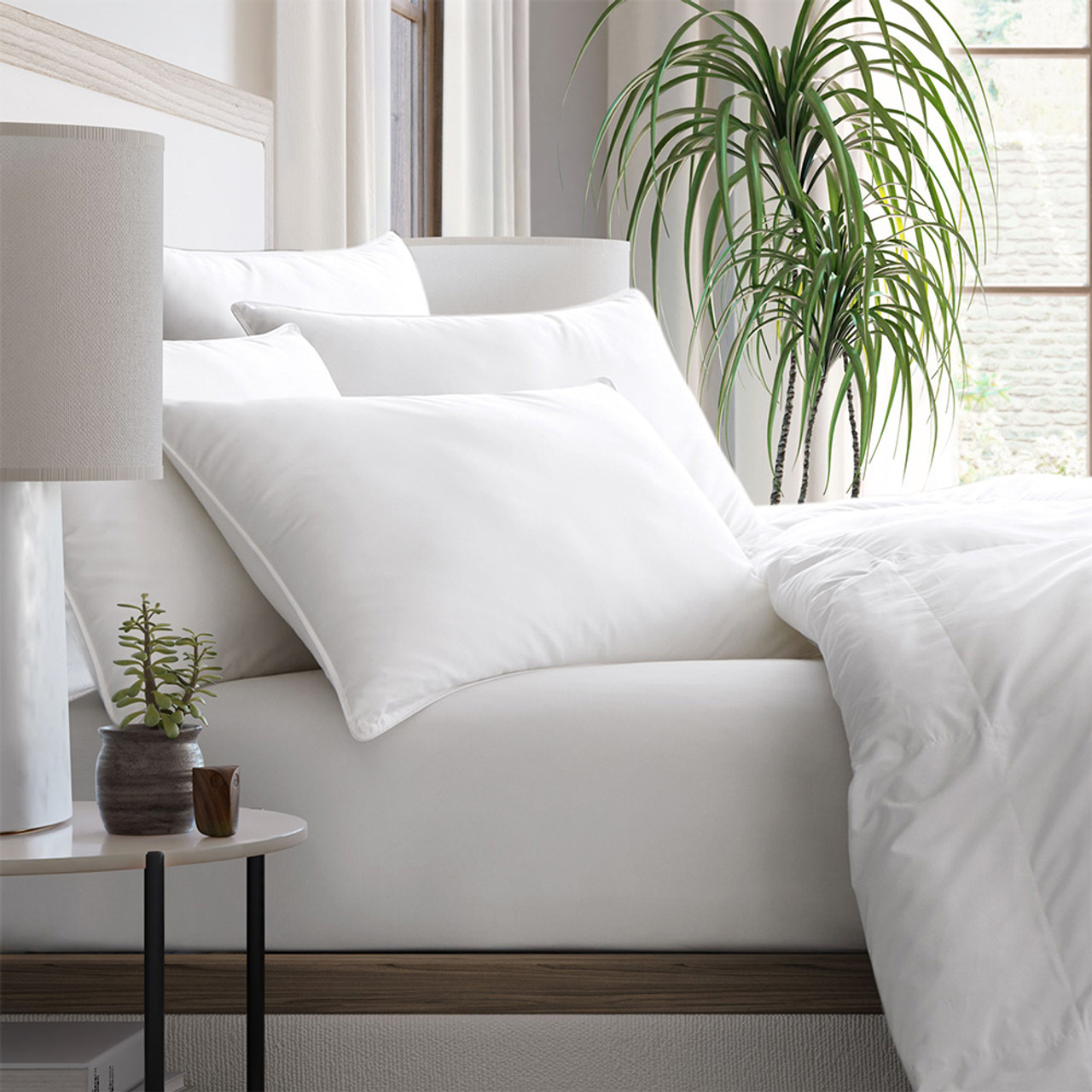 280 TC TENCEL®/Cotton Blend PrimaLoft® Down Alternative Medium Pillow for  Back Sleepers (Hypoallergenic)