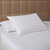 DOWNLITE® Down Extra Thin, Flat & Soft Pillow for Stomach Sleepers by DOWNLITE® (Hypoallergenic) 