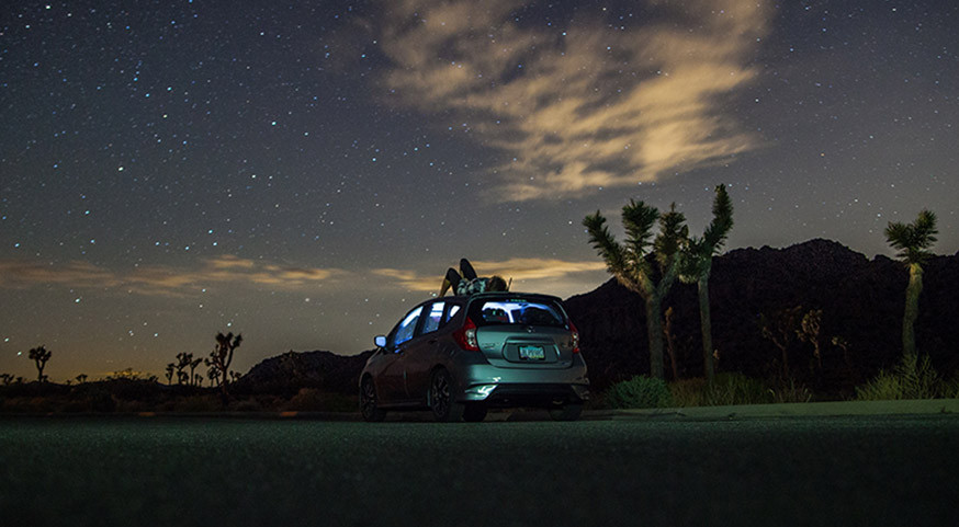 ​Stargazing From a Cozy Nest