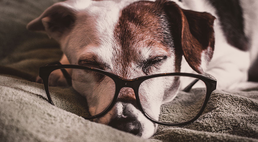 ​What's New In Sleep News