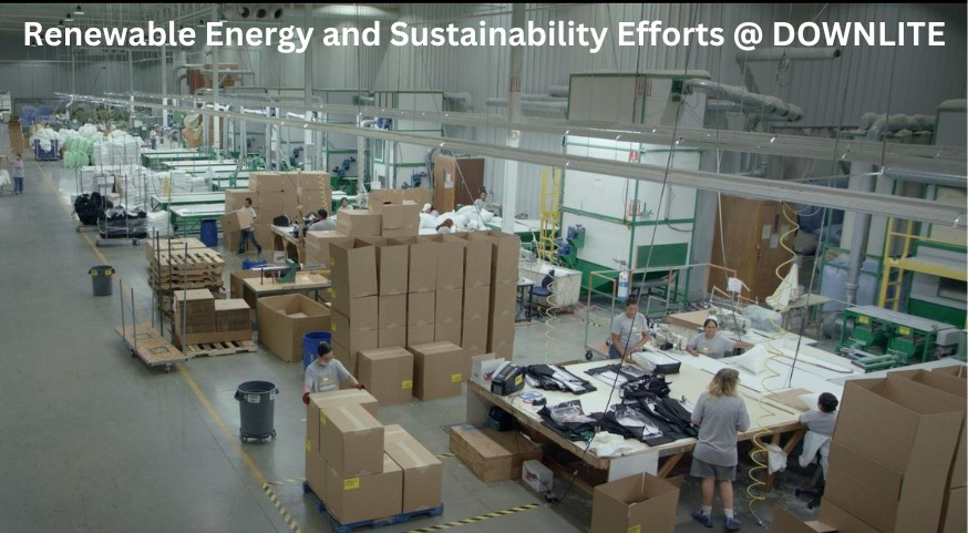 Renewable Energy and Sustainability Efforts | Downlite Blog