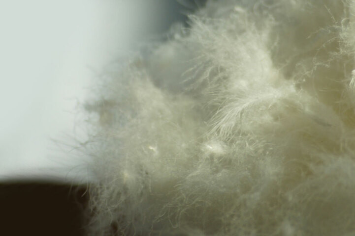 Why Are There Dark Spots on My Comforter? (Flecking, explained)