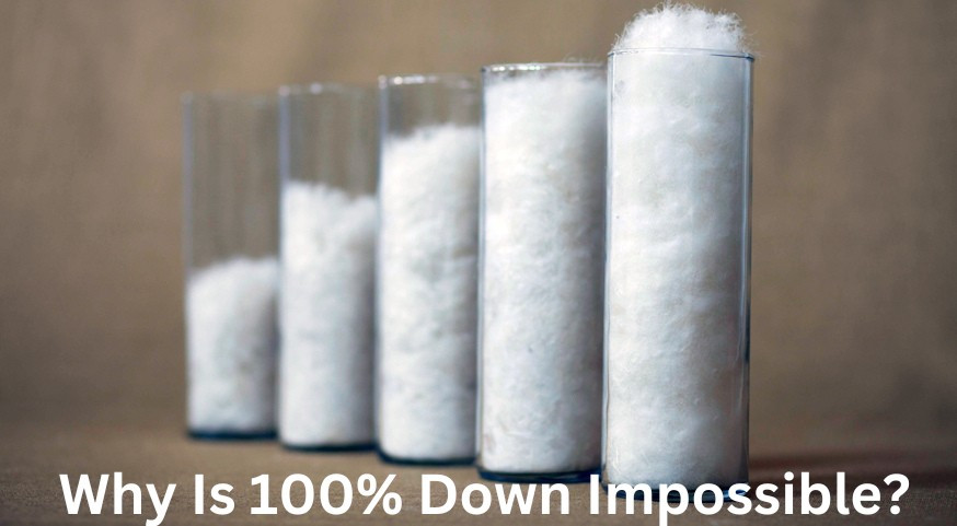 Where Are the 100% Down Products? | DOWNLITE Blog