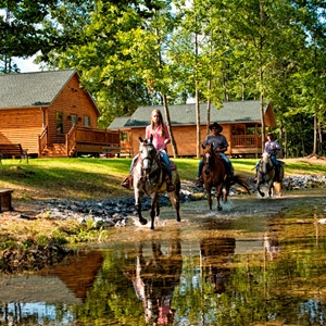 Creekside Resort Bedding