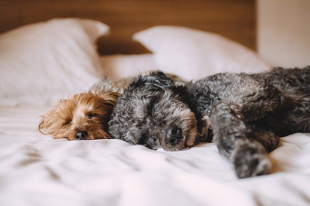 ​Are You Up Again?