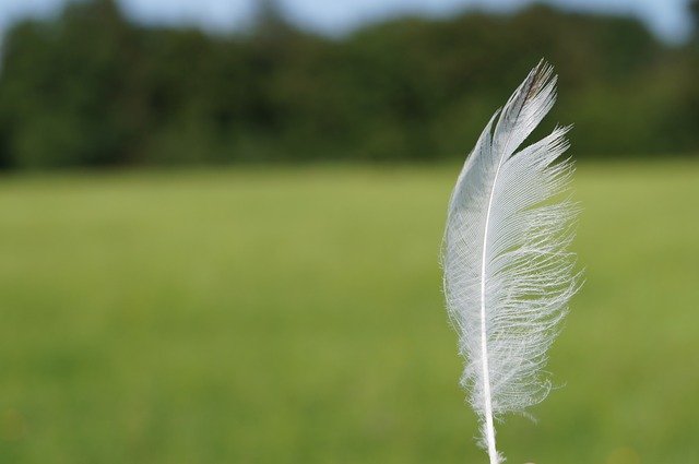 ​Invest In Our Planet - Earth Day 2022