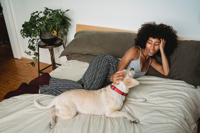 ​Sleeping with Pets in the Bed: Pros and Cons & Tips for Success