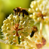 Sleeping Through Allergy Season: Our Top 5 Tips 