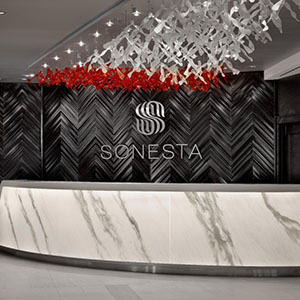 Sonesta Hotel Bedding By DOWNLITE