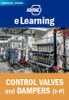 Control Valves and Dampers (I-P), 3.0 PDHs  (AIA)