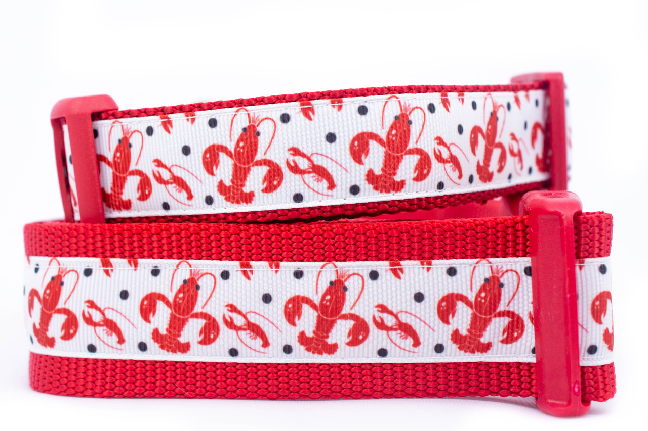 crawfish dog collar